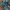 Tavernity So Jeans Boot Cut Bottom Bell photo 8