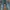Tavernity So Jeans Boot Cut Bottom Bell photo 4