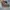 nike zion x air jordan 1 low photo 2