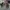 nike zion x air jordan 1 low photo 3