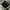 LOUIS VUITTON TRAINER X VIRGIL ABLOH BLACK WHITE  photo 7