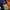 Gorpcore Sportswear Puffer jacket Pria orange photo 6
