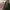 Nike tn airmax plus utility original  photo 1