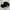 Stussy big logo low pro cap hat photo 2