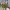 Thumbler LocknLock Crayon Shinchan x Tahilalats Original photo 1