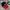 Formula 1 Cap Licensed Product Originila