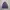 Grecol Vest Fleece photo 1