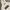 VANS Streetwear Skater Hoody Pria white photo 2