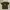 T-Shirt Paul Frank Logo photo 1