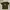 T-Shirt Paul Frank Logo