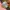 Jam Mickey Mouse Disney Lorus Jumbo photo 4