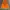 Elstinko Vintage Streetwear Hoody Pria orange photo 2