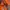 Elstinko Vintage Streetwear Hoody Pria orange photo 3
