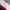 Crewneck Vans 3 tone color OVERSIZE photo 2