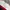 Crewneck Vans 3 Tone Color OVERSIZE