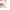 Jellycat Bashful Bunny Cream with Present Plush Soft Toy photo 3