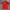 Jersey Barcelona Player Issue 14/15 - Away
