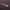 Jersey Barcelona Player Issue 16/17 - Away photo 8