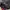 Jersey Barcelona Player Issue 16/17 - Away photo 4