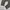 LONGPANTS DICKIES 1939RMS photo 6