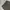 LONGPANTS DICKIES 1939RMS photo 5