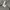 LONGPANTS DICKIES 1939RMS photo 7