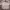 Vintage Streetwear Casual Shirt Pria Multicolor