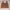 Ribbed Knit Crop Tank Top – Mocha Brown photo 1