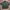 Vintage Streetwear Casual Shirt Pria Multicolor