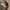 EIGER RIDING CARGO PANTS photo 7