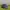 Salomon xt6 gtx blackphantom photo 1