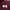 Lacoste Casual Polo shirt Pria burgundy photo 5