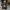 New balanc* 327 photo 7