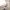 Global Work Streetwear Casual Other Pria khaki photo 4