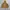 Uniqlo oversize parka waterleplance  photo 8