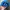 UNKNOWN BRAND LOGO D photo 3