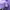 Indie Casual Culotte Wanita purple photo 3