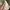 Kate Spade Luxury Minimalist Tote bag Wanita cream photo 7