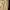 Kate Spade Luxury Minimalist Tote bag Wanita cream photo 5