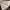 Kate Spade Luxury Minimalist Tote bag Wanita cream photo 8