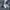 LONGPANTS DICKIES 9393NB photo 7