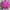 Jaket Outdoor Millet Unisex – Warna Fuchsia photo 3