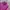 Jaket Outdoor Millet Unisex – Warna Fuchsia