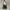 tsuno bag custom   photo 1