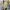 Carla Ferroni Minimalist Casual Suit Pria cream tan photo 1