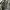 Carla Ferroni Minimalist Casual Suit Pria cream tan photo 4