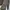 Renoma Minimalist Casual Suit Pria tan brown photo 4