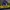 Jersey Parma 1999 Bootleg photo 2