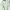 Streetwear Casual Hoody Pria green photo 4