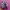 Nike Airmax Plus TN photo 2